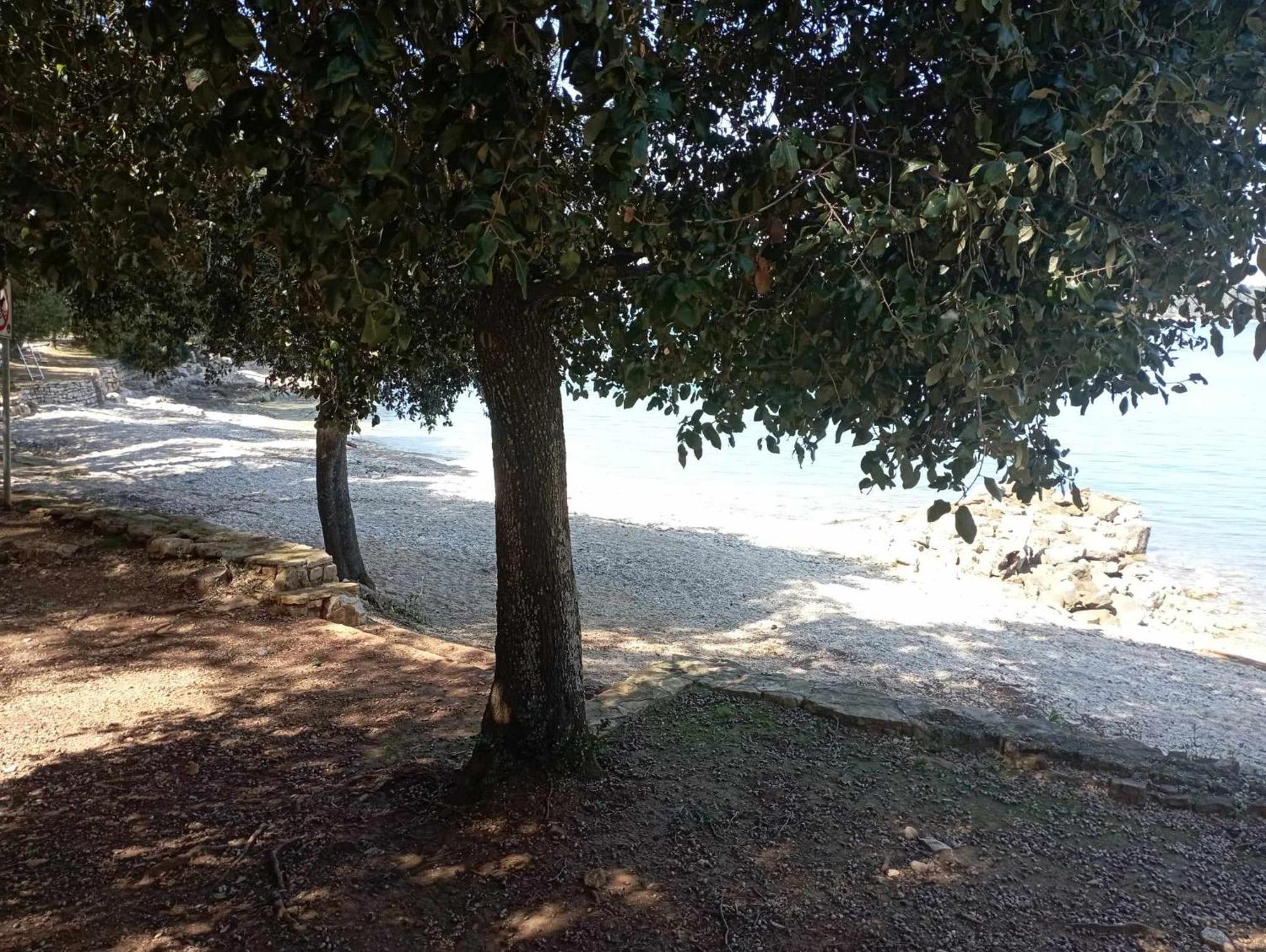 Apartman Angela Rovinj Luaran gambar